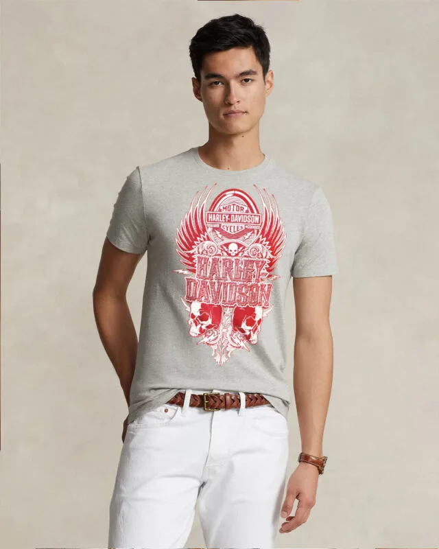 Harley DavidSon - Front Printed Design T-Shirt - Gray